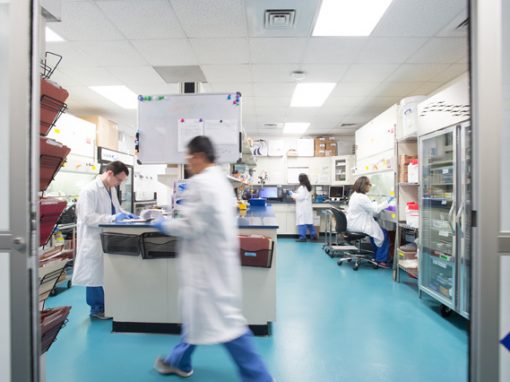 JASA MAKLON KOSMETIK HERBAL