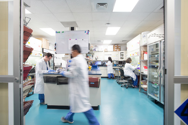 JASA MAKLON KOSMETIK HERBAL